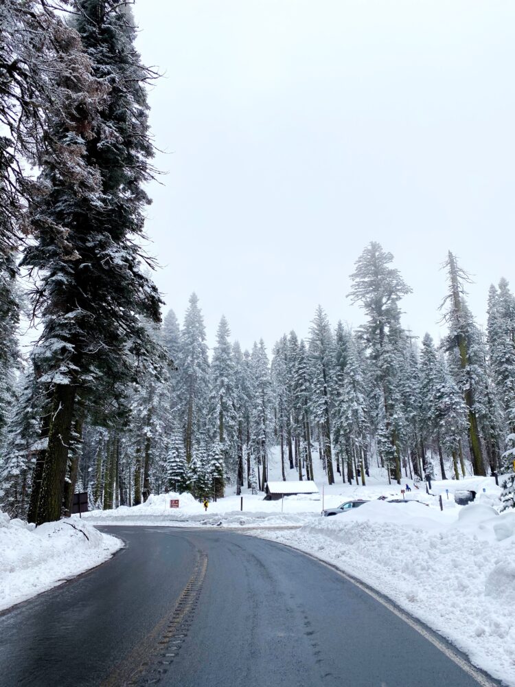 Visiting All 50 States by Age 40 (My 50 States Challenge)