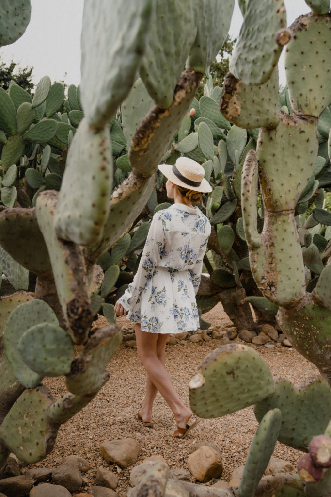 Babylonstoren Review | WORLD OF WANDERLUST