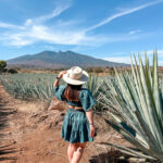 Guadalajara Itinerary: 4 Days in Guadalajara