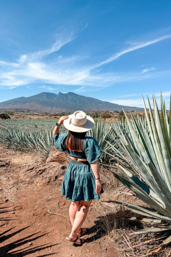 Guadalajara Itinerary: 4 Days in Guadalajara