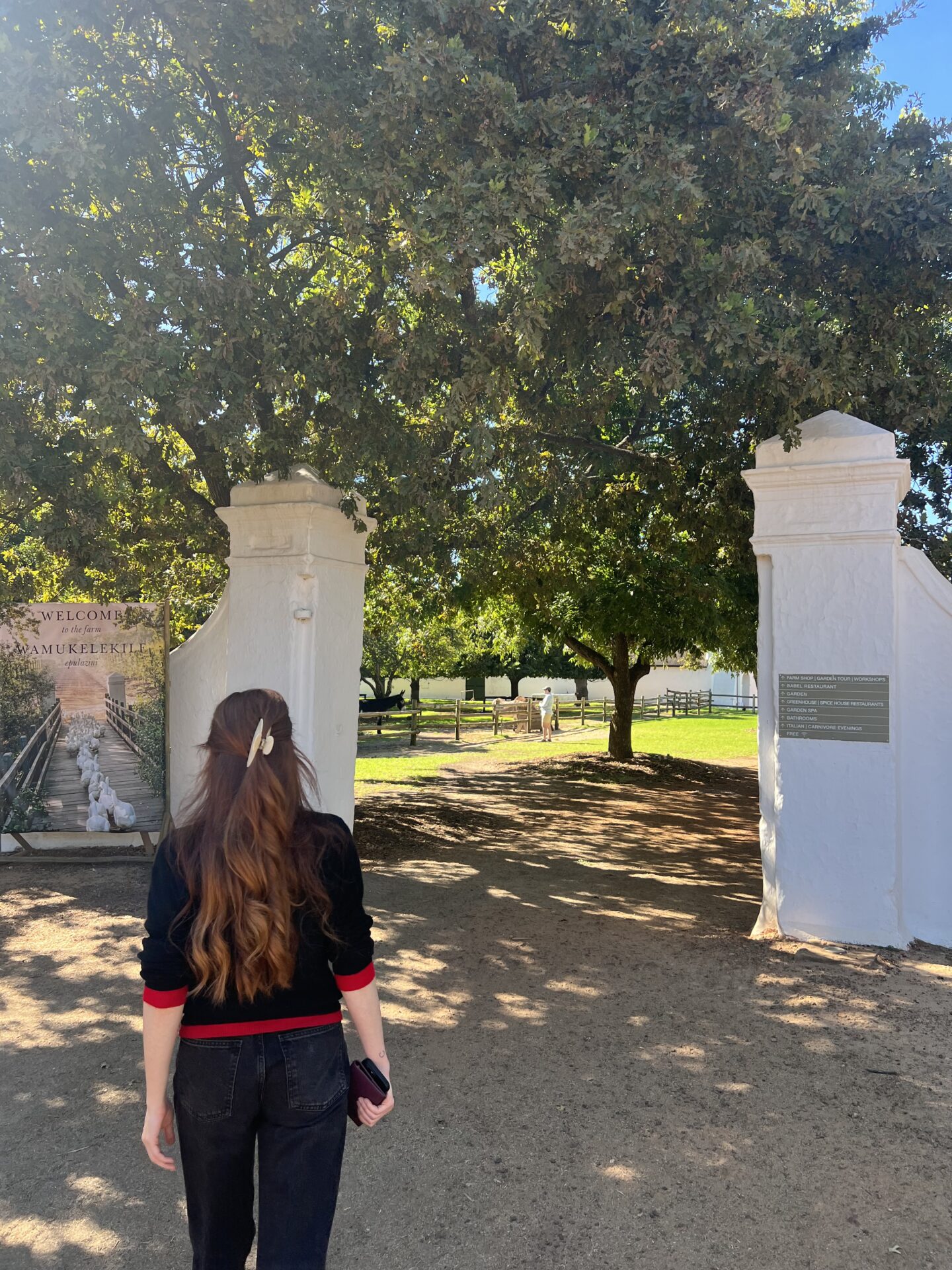 World of Wanderlust Honeymoon