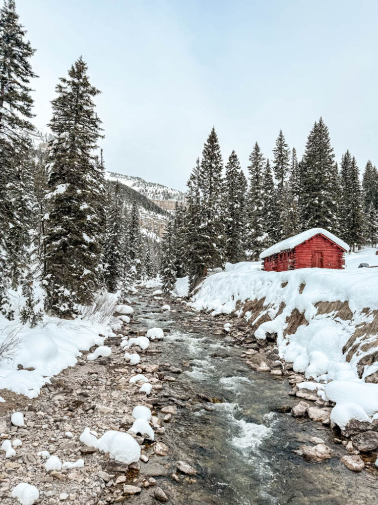Winter in Jackson Hole
