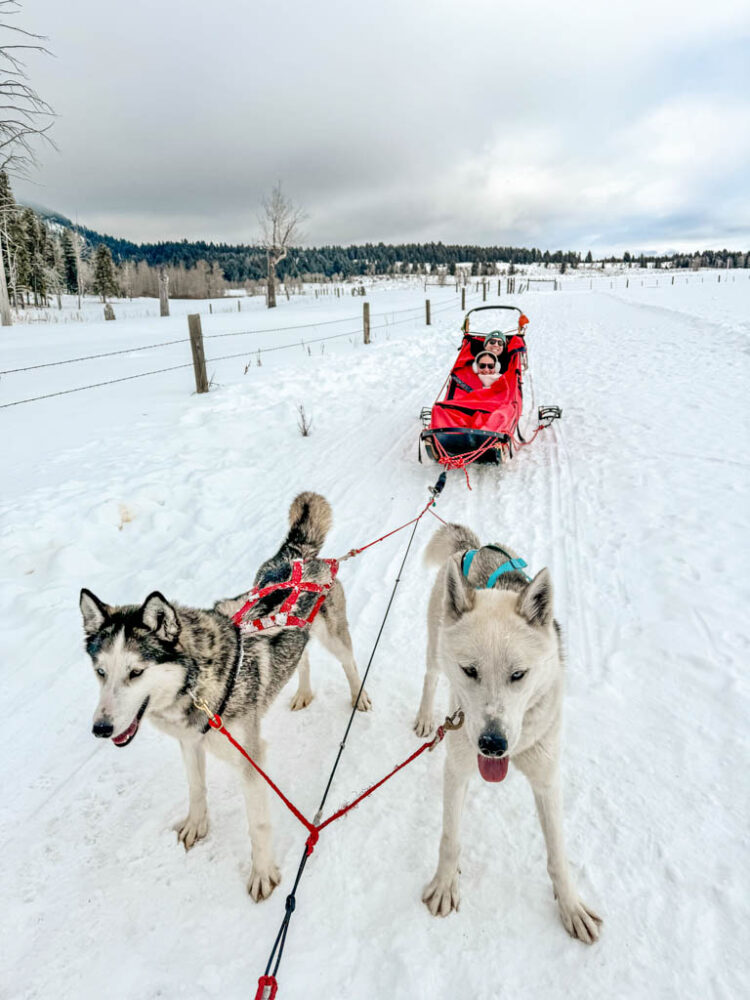 Jackson Hole in Winter Itinerary