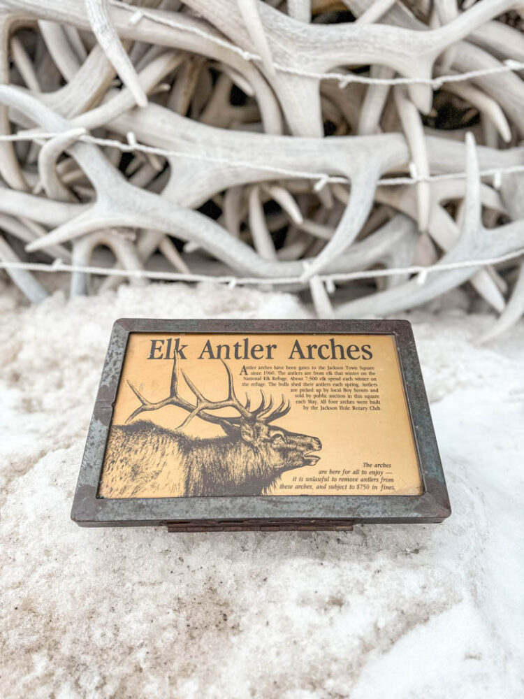 Winter in Jackson Hole