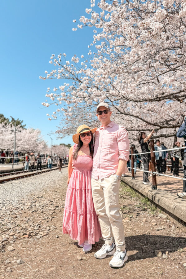 Jinhae Cherry Blossom Festival South Korea day trip