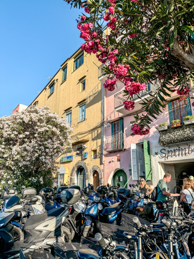 Procida day trip