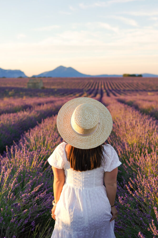 Provence itinerary