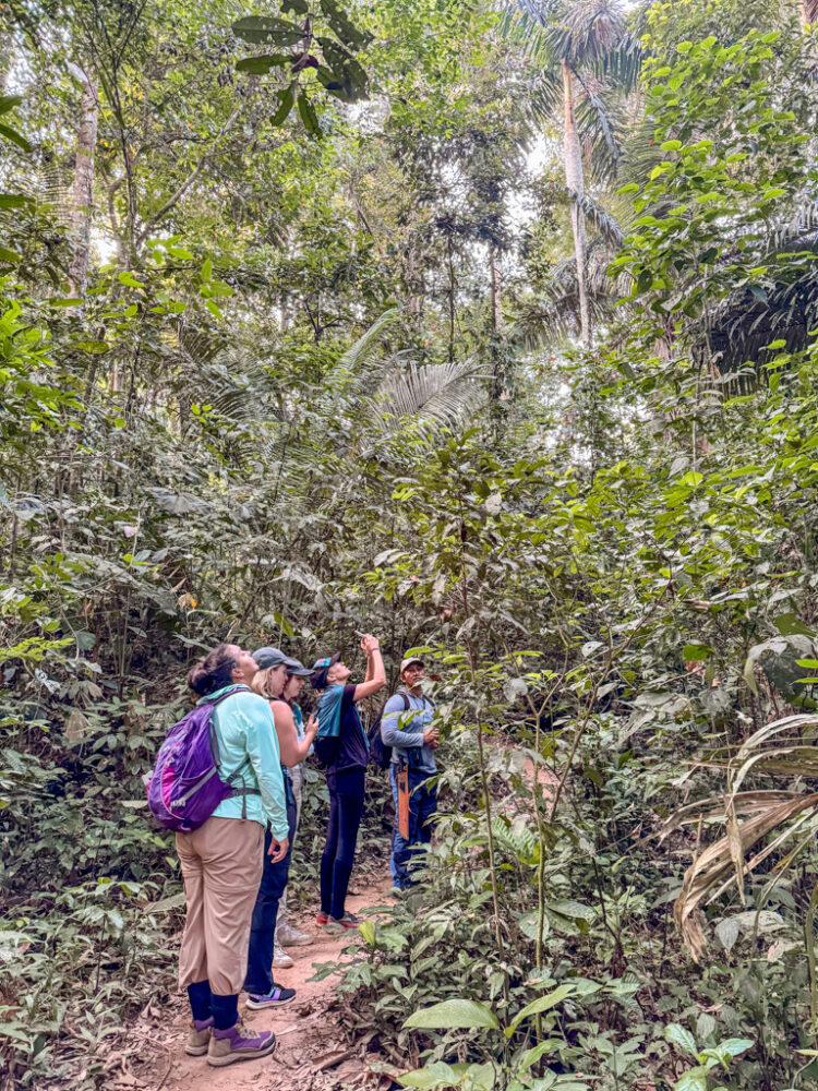 visiting Puerto Maldonado Peru Amazon Rainforest