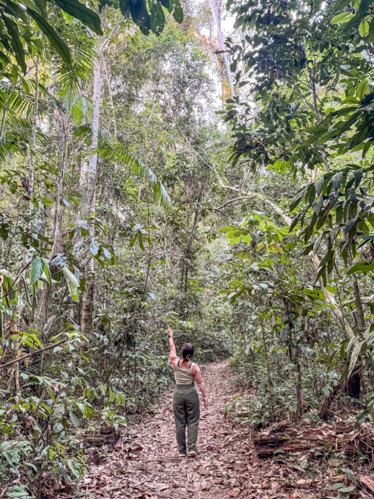 visiting Puerto Maldonado Peru Amazon Rainforest