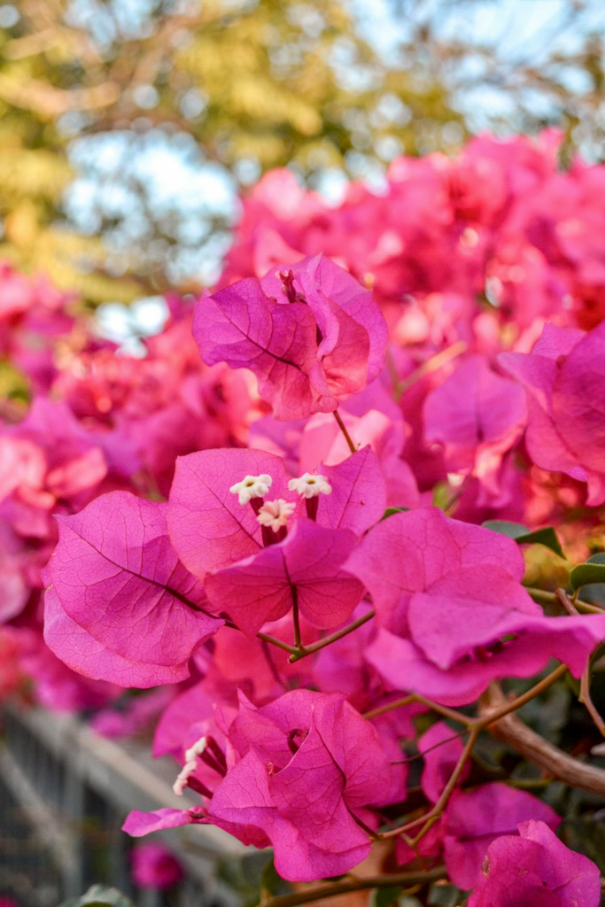 weekend in Santa Barbara itinerary